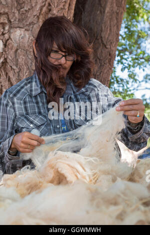 Ganado, Arizona - ein Schaf, Wolle und Werkstatt für Weberei am Hubbell Trading Post auf der Navajo-Nation. Stockfoto