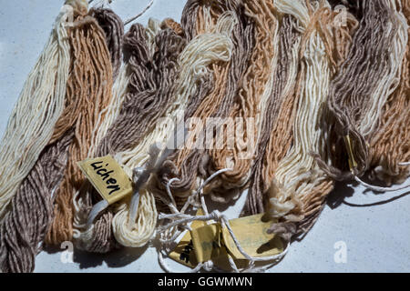 Ganado, Arizona - ein Schaf, Wolle und Werkstatt für Weberei am Hubbell Trading Post auf der Navajo-Nation. Stockfoto