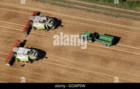 Luftaufnahme von 2 Kombinieren Harvester und ein Traktor mit Anhänger, England, UK Stockfoto