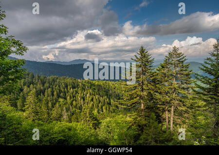 Einen malerischen Blick auf den Great Smoky Mountains von knapp unterhalb Clingmans Dome in North Carolina, USA. Foto von Darrell Young. Stockfoto