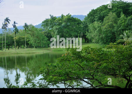 Seepark in Taiping, Malaysia Stockfoto