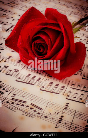 Rote Rose auf Musiknoten Stockfoto