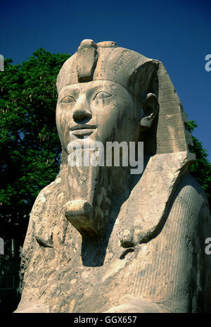 Die Alabaster Sphinx ist 8m (26 ft) lang und 4m (13 ft) hoch und wiegt etwa 90 Tonnen. Memphis, Ägypten. Stockfoto