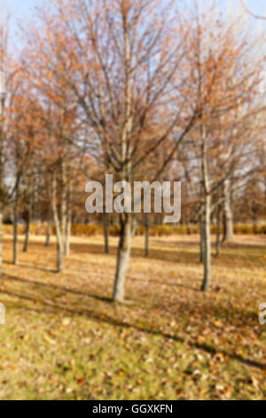 Herbst im park Stockfoto