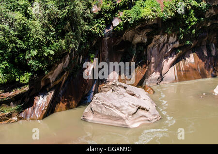 Colima von Padre Abad, aguaytia, ucayali Department, Peru. Stockfoto