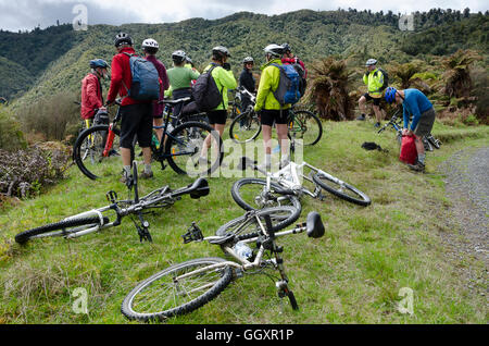 Mountainbiker auf Fischer Track, Nationalpark, Nordinsel, Neuseeland Stockfoto