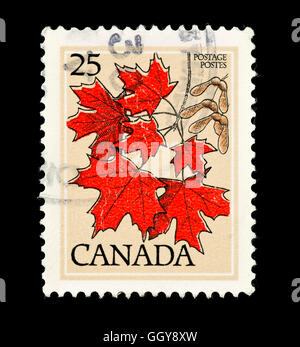 Briefmarke aus Kanada mit reichlich verlässt. Stockfoto