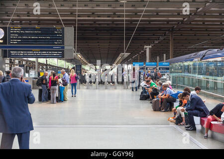 Masse der Pendler prüfen die Abfahrtstafeln und Wartezeiten am Bahnhof St Pancras Stockfoto