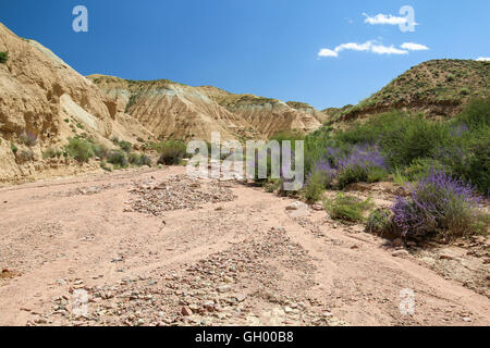 Issyk-Kul See in Kirgisistan Umgebung. Terskey Alatau, Tian Shan-Gebirge in Kirgisien, Zentralasien Stockfoto