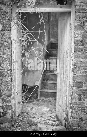 Vertikale Aufnahme einer vergessenen Holztreppe in einem leeren verlassenen Haus. Stockfoto