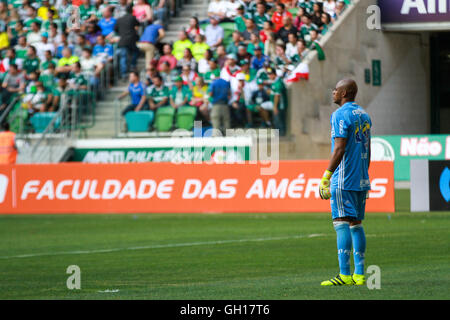 Sao Paulo, Brasilien 7. August 2016 Sao Paulo, Brasilien 7. August 2016 PALMEIRAS X VITÓRIA - Torhüter Jailson während des Spiels zwischen Palmeiras und Vitória an Allianz Park, West Zone von São Paulo statt. Übereinstimmen Sie gültig für die 19. Runde Brasileirão 2016 Chevrolet. (Foto: Jales Valquer/Fotoarena) © Foto Arena LTDA/Alamy Live-Nachrichten © Foto Arena LTDA/Alamy Live-Nachrichten Stockfoto