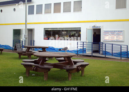 Clydebank, Glasgow, Schottland, UK 8. August 2016 auch die Tier-und Pflanzenwelt Essen bei den Chippy am McMonagles der weltweit ungewöhnlichsten Fisch ' n ' Chip-Shop ist das Schiff "Debra Rose". Die Schwäne bevorzugen das Segel durch Auftragsfenster, während die Möwen eine Tabelle nehmen. Die Räumlichkeiten des ersten Segels durch Fisch und Chips Restaurant Service-Fenster ein Segel vergangen und jetzt bekommt ein neues Gesicht, wie es seinen Erfolg weiter. Ungewöhnlicher Anblick eines großen speziell angefertigten Schiffs, das ein Restaurantbesucher Überraschungen ist, wie Sie Clydebank auf den Forth und Clyde Kanal Weg und Zyklus RV7 NCN eingeben. Bildnachweis: Gerard Fähre/Alamy Live News Stockfoto