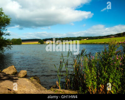 Sheffield u Stockfoto