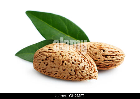 Mandeln mit Blättern isoliert auf weißem Hintergrund Stockfoto