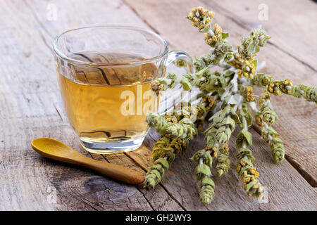 Bergtee. Sideritis Kräutertee und Blumen auf hölzernen Hintergrund, selektiven Fokus Stockfoto