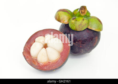 Mangostan (andere Namen sind Garcinia Mangostana, Clusiaceae, Saptree, lila Mangostan, Affe Obst, Malpighiales) mit Obst Stockfoto