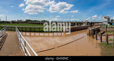 In Thailand gibt es ein Damm auf dem Wasser gibt es viele schwimmende Wasserpflanzen Stockfoto