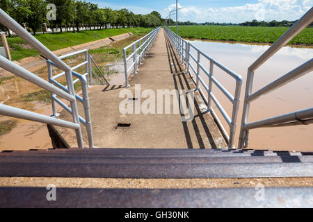 In Thailand gibt es ein Damm auf dem Wasser gibt es viele schwimmende Wasserpflanzen Stockfoto