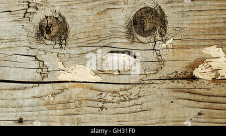 Im Alter von Holzbohlen Textur mit Anzeichen von Verwitterung Stockfoto