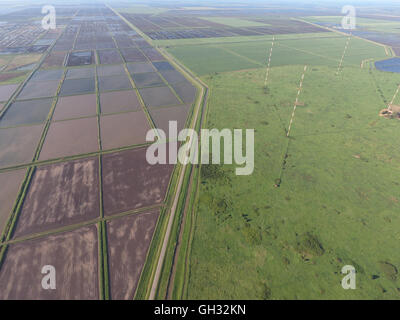 Masten Langwelle Antennen Kommunikation zwischen den Reisfeldern überflutet. Telekommunikation und Kommunikationsausrüstung und Radar. Stockfoto