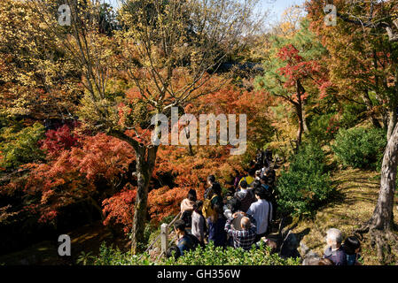 Kyoto, Japan - 16. November 2016: Besucher fotografieren die Herbstfarben im Garten Tofuku-Ji in Kyoto, Japan. Stockfoto