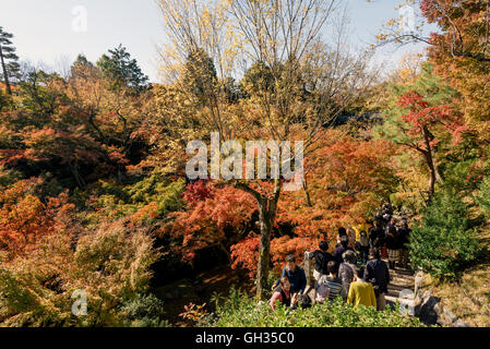 Kyoto, Japan - 16. November 2016: Besucher fotografieren die Herbstfarben im Garten Tofuku-Ji in Kyoto, Japan. Stockfoto