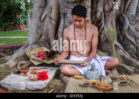 Eine junge traditionelle Ayurveda-Arzt einen alten Palmblatt-Bildlauf auf Naturheilkunde lesen. Stockfoto