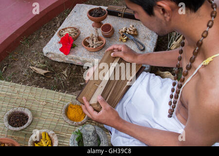 Eine junge traditionelle Ayurveda-Arzt einen alten Palmblatt-Bildlauf auf Naturheilkunde lesen. Stockfoto