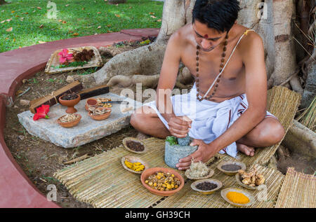 Ein junger indischer Arzt Vorbereitung traditioneller Ayurveda, Kräuter, Medizin. Stockfoto