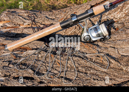 Angelrute mit Angeln Rollen auf dem natürlichen Hintergrund. Spinning und Fisch Stringer auf dem alten Baum mit braune Rinde. Stockfoto