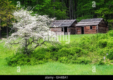 Niedrigen Winkel Ansicht zweier rekonstruiert Soldaten Hütte des revolutionären Krieges im Frühjahr Zeit, Jockey hohl, Morristown, New Jersey Stockfoto