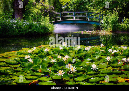 Niedrigen Winkel Blick auf einen Teich mit Seerosen und eine kleine Fußgängerbrücke, Gründe für Skulptur, Hamilton, Mercer County, New Jersey Stockfoto
