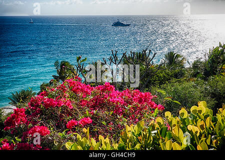 High Angle View des karibischen Meeres von einem Hügel bedeckt mit Blumen, Franzose Reef, St. Thomas, Amerikanische Jungferninseln Stockfoto