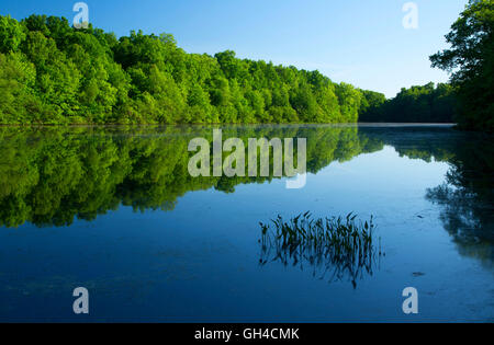 Unteren Teich, AW Stanley Park, New Britain, Connecticut Stockfoto