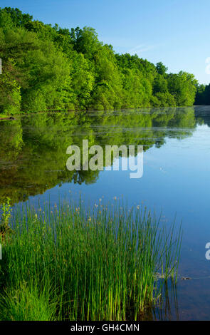 Unteren Teich, AW Stanley Park, New Britain, Connecticut Stockfoto