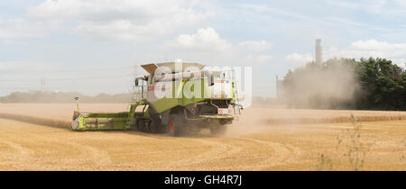 Mähdrescher, Maschinen, Bauernhof, Land, reif, Britisch, Ernte, Ernte, Staub, jagen, Verfolgung, dankbar, glücklich, Verachtung, Hinweis, Stockfoto