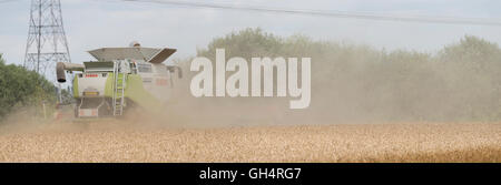 landwirtschaftliche, Maschinen, Landwirtschaft, Mähdrescher, Bauernhof, Ernte, ernten, Staub, kommerzielle, Kommerzialisierung, Kommerzialisierung, Stockfoto