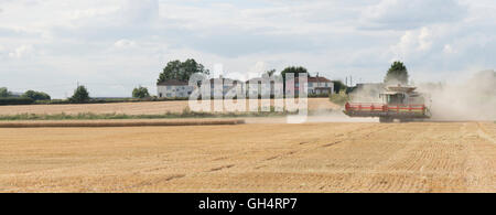 Mähdrescher, Maschinen, Bauernhof, Land, reif, Britisch, Ernte, Ernte, Staub, jagen, Verfolgung, dankbar, glücklich, Verachtung, Hinweis, Stockfoto