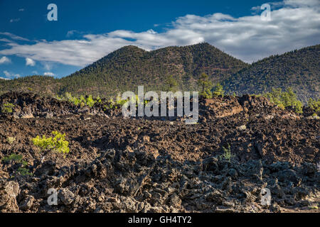 O'Leary Peak über Bonito Lavastrom, Sunset Crater Volcano National Monument, Arizona, USA Stockfoto