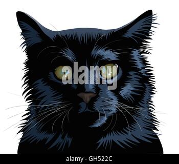 Schwarze Katze auf einem weißen Hintergrund isoliert Stock Vektor