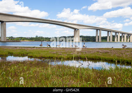 Blick auf die Orwell-Brücke in suffolk Stockfoto