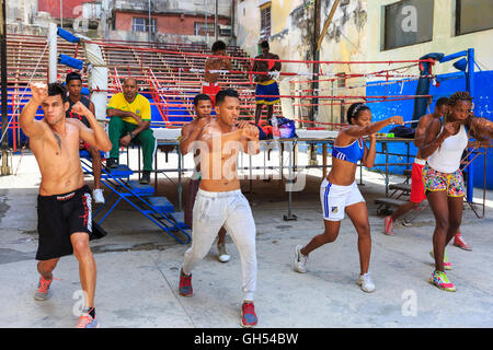 Junge Boxer Ausbildung an der berühmten Gimnasio de Boxeo Rafael Trejo Boxing Gym, Havanna, Kuba Stockfoto