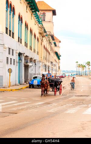 Pferdekutsche Kutsche entlang Calle San Pedro in Alt-Havanna, Kuba Stockfoto