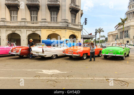 Havanna klassisch amerikanische Autos und Taxis mit ihren Fahrern warten auf Touristen im Parque Central, La Habana Vieja, Kuba Stockfoto