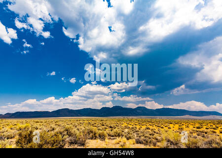 Mono Krater California Highway 395 in der östlichen Sierra Nevada Stockfoto