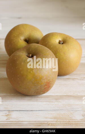 Egremont Russet Äpfel Stockfoto