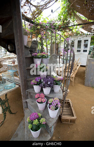 Petersham Nurseries, Richmond Upon Thames, Gewächshäuser, Verkauf von eleganten Garten und Wohnaccessoires, London Borough of Richmond, Outer London, England, UK Stockfoto