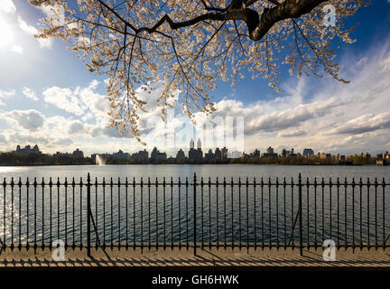 Frühling im Central Park mit Blick von der Upper West Side von Jacqueline Kennedy Onassis Reservoir-Laufstrecke. New York Stockfoto