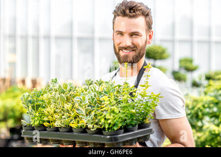 Gärtner halten Töpfe mit Pflanzen Stockfoto