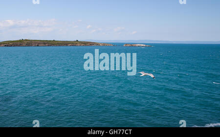 Möwen fliegen über das Meer und die Insel in der Ferne Stockfoto